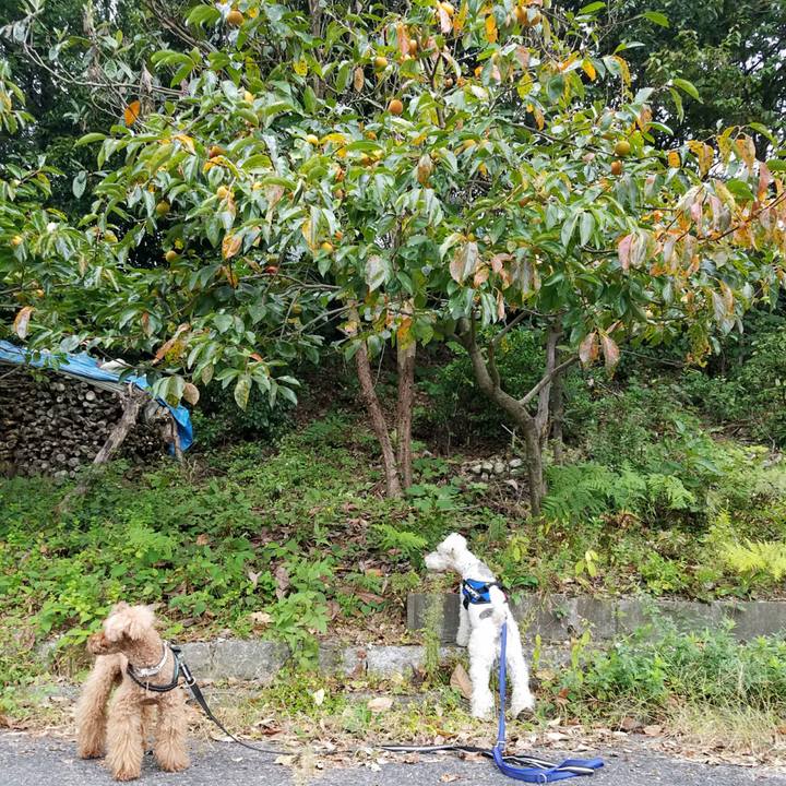 55fbc7e8 4ad3 424e 8061 5578a98e59a1