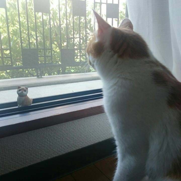 55fcb1cb 0d16 4beb a5df ce5234951ee7