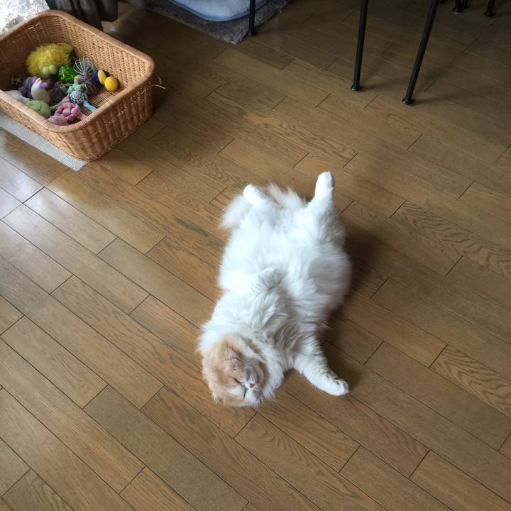 55fe5c4a 54cd 4f88 96dc 34c31a5a5e48