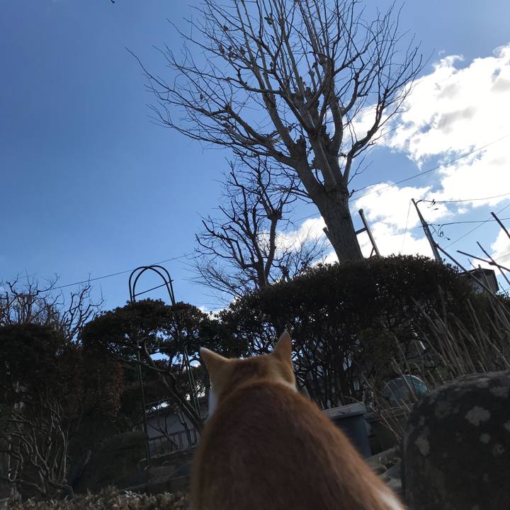 55fece61 6e77 4002 8511 b9b4710e67d8