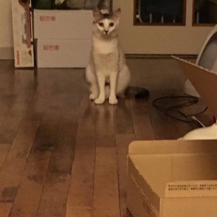 55fef7c3 8ca2 46f0 9612 907a12f81912