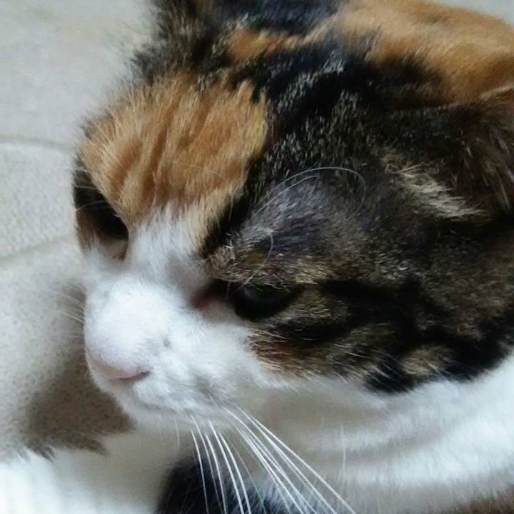 55ff1e91 1e11 4c8b 8e9b aabcf931d1e7