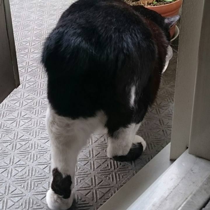 55ff64ae 83b5 4a66 b76b 835bbce68e68