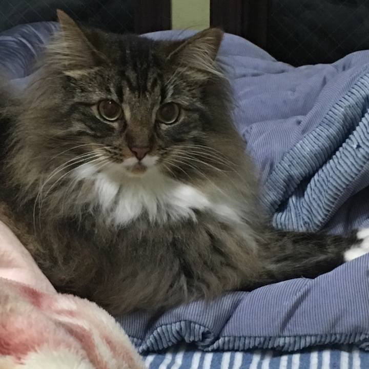 55ff728d 7327 492e 8aea 45604fcc00b8