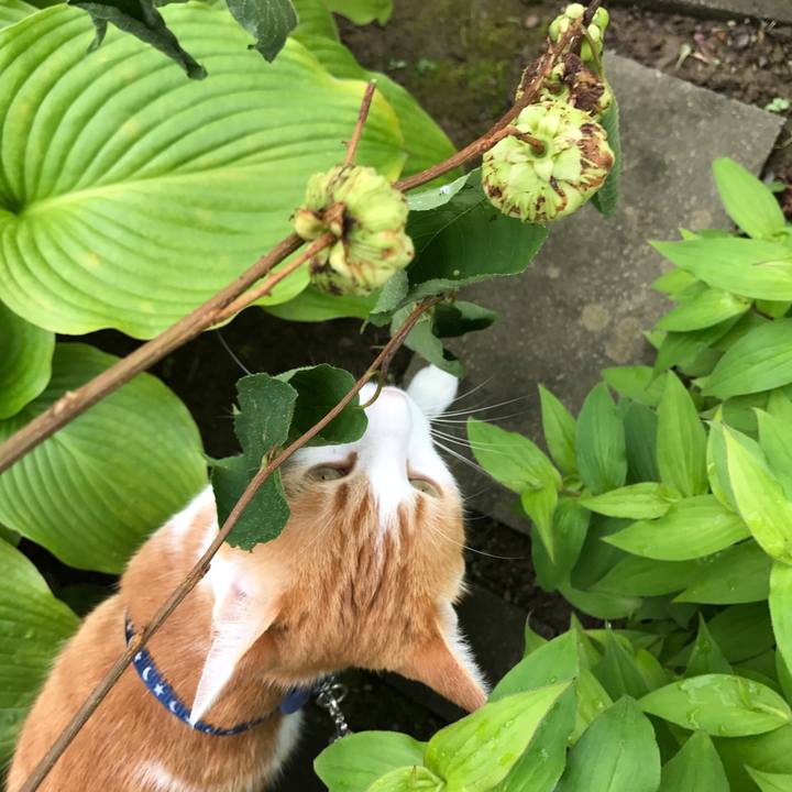 55ffa9f5 ce3d 44d7 8c6c 8c1e17c6e7eb