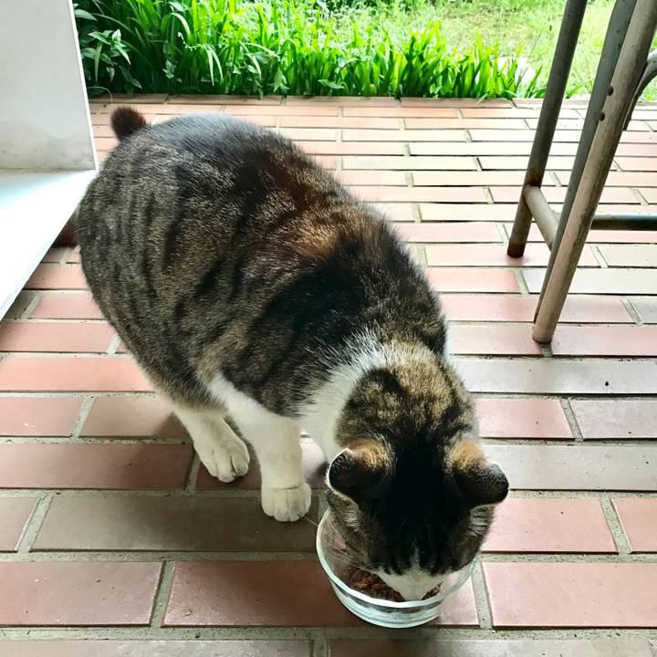 55ffaf87 48b2 4c34 93e8 e7bd8f1be994