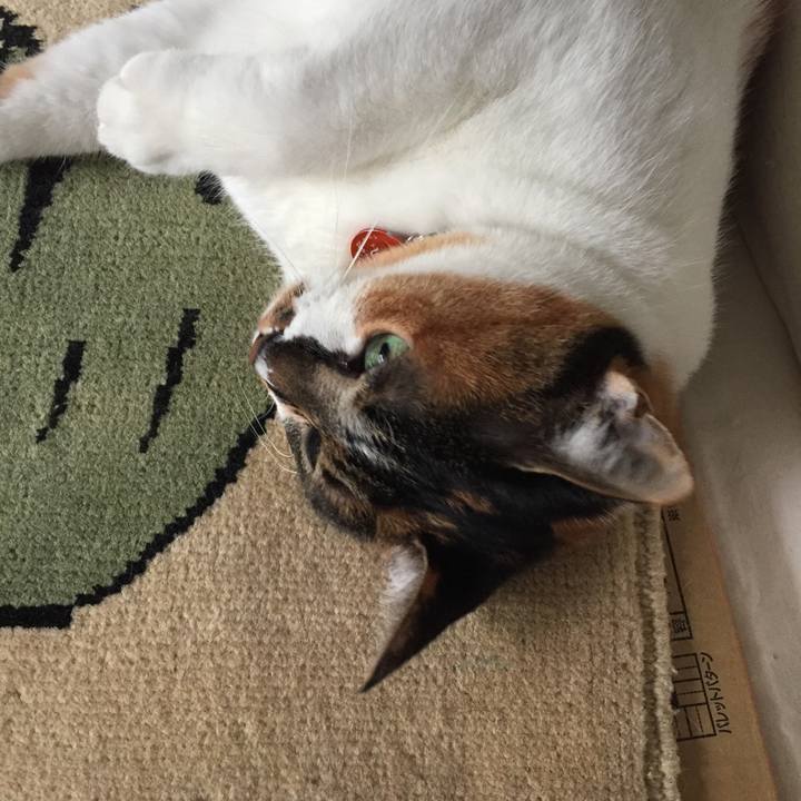 56001247 4ef9 45e3 87ce 36ecac2c60f5