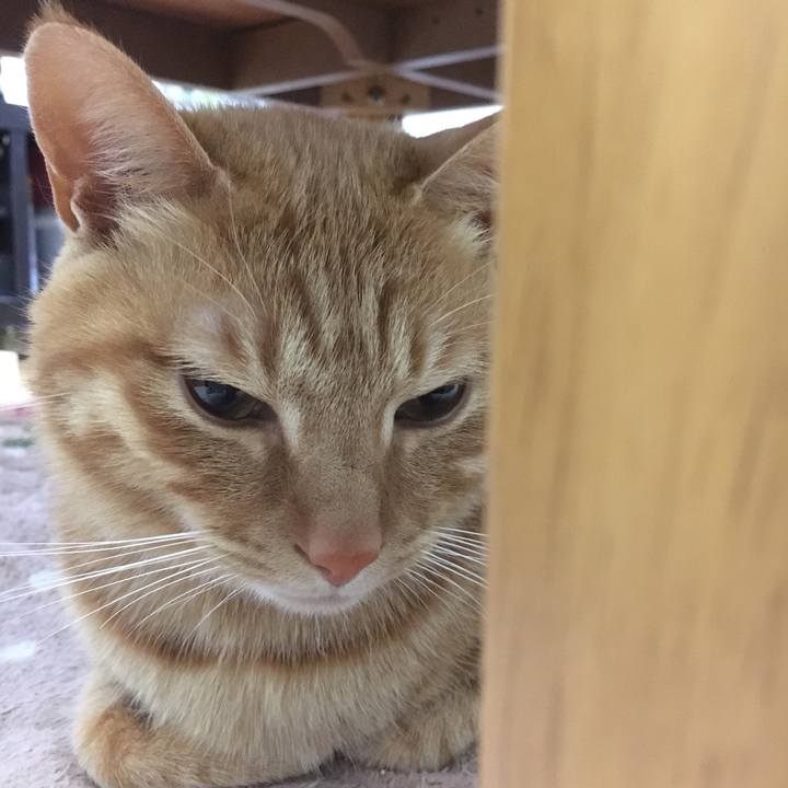 5600658a 95b9 4f21 9e5e 840356d243f3