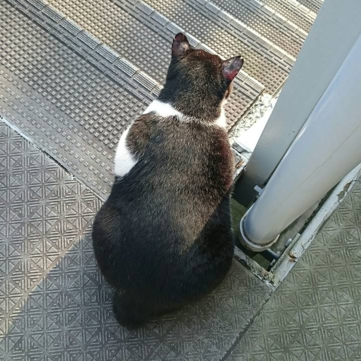 560065d6 82b6 4fc7 8947 d9279ab7cb16