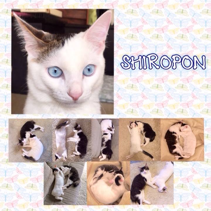 56006fe2 6502 4802 99a9 905481d78fb5