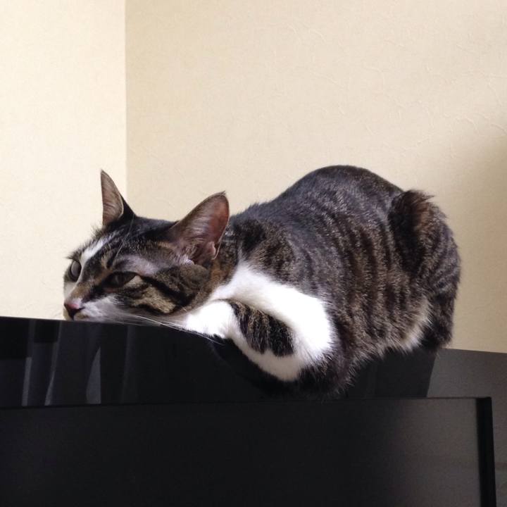 5600dda2 872f 4cd0 97c5 64d6cae986e0