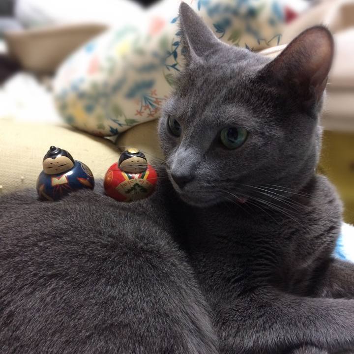 56016afc ad7d 4eda b046 62239eee8fd5