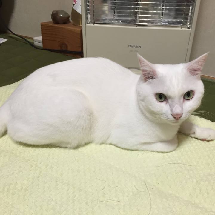 5601b106 622a 4960 9081 5bf7a3569c5e