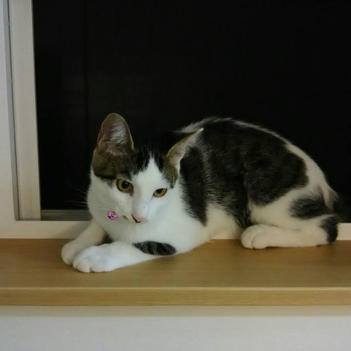 5601f049 e9c2 4539 8e48 f9c60fb66660