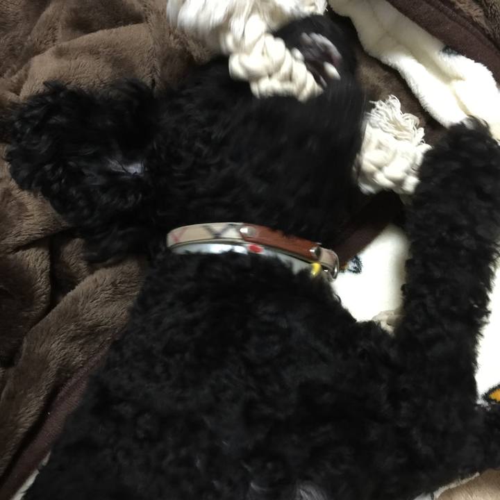 56035a87 501e 4f4c 968e 41d43028e855