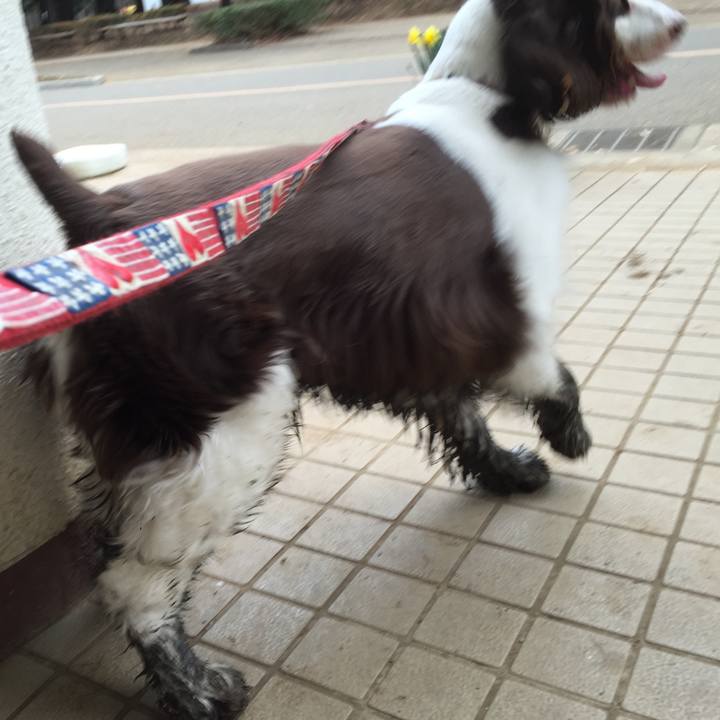 56036462 7092 4428 b13f 1ddc9330c471