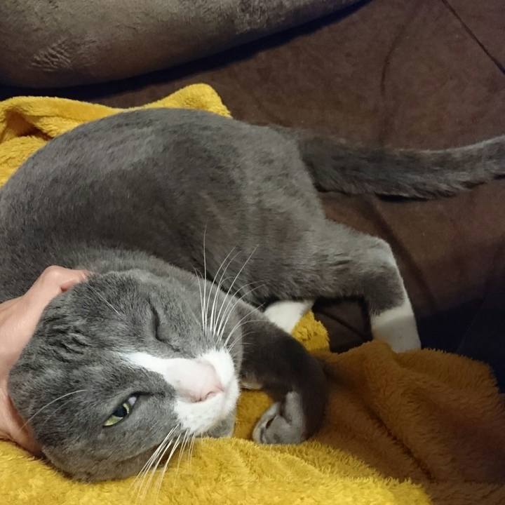 5603824e 6e75 4901 8841 4c716a3f4681