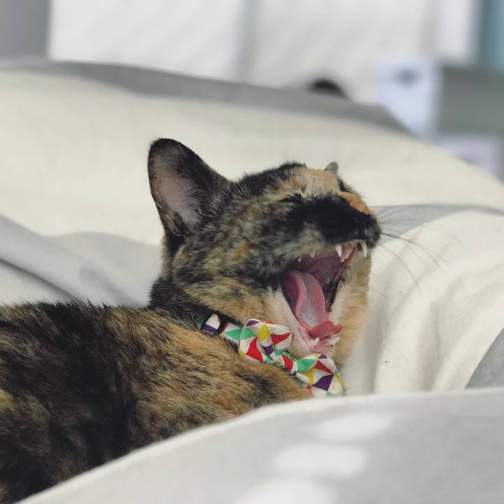 5603829b 2657 41a6 9b6d 3af6dccb2489