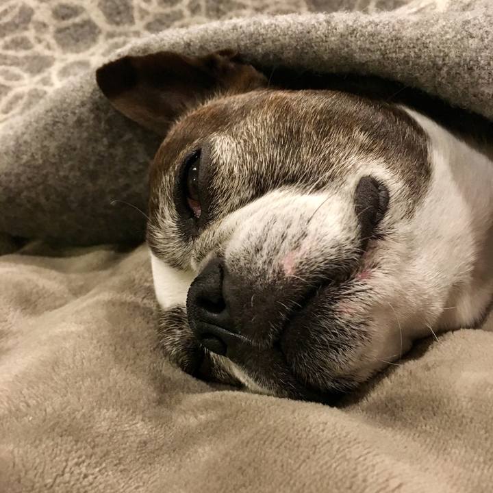 5603efc5 3aa9 4e1e 8dd5 219a55e2a801