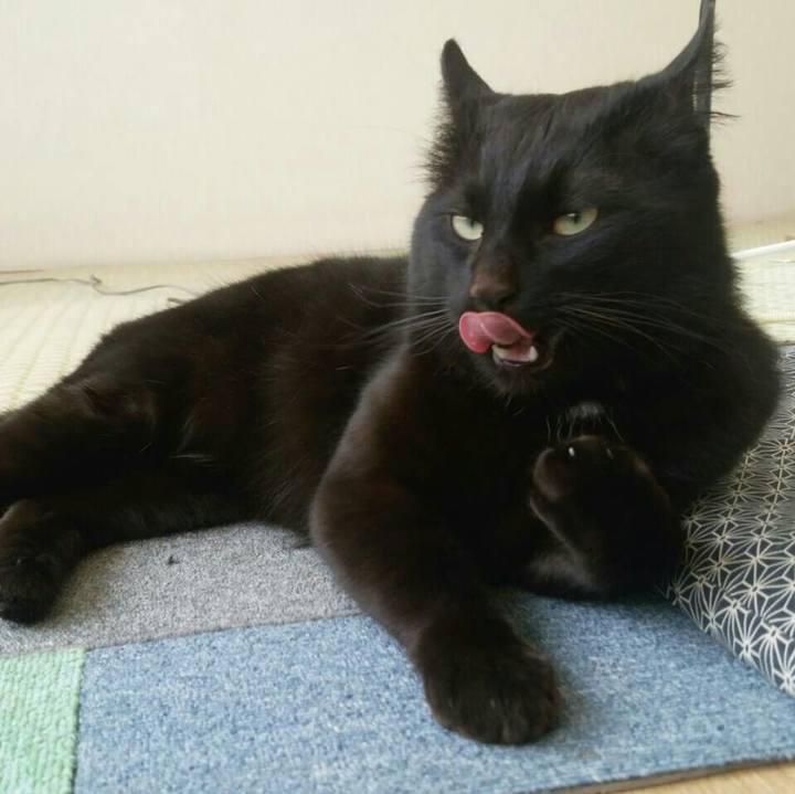 56042d18 121b 477a bfc4 527ad233d65f