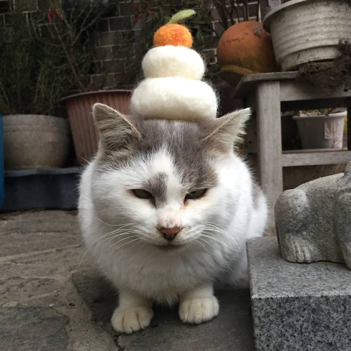 5604b1b5 6d88 4b5a 910c cf1854be7d02