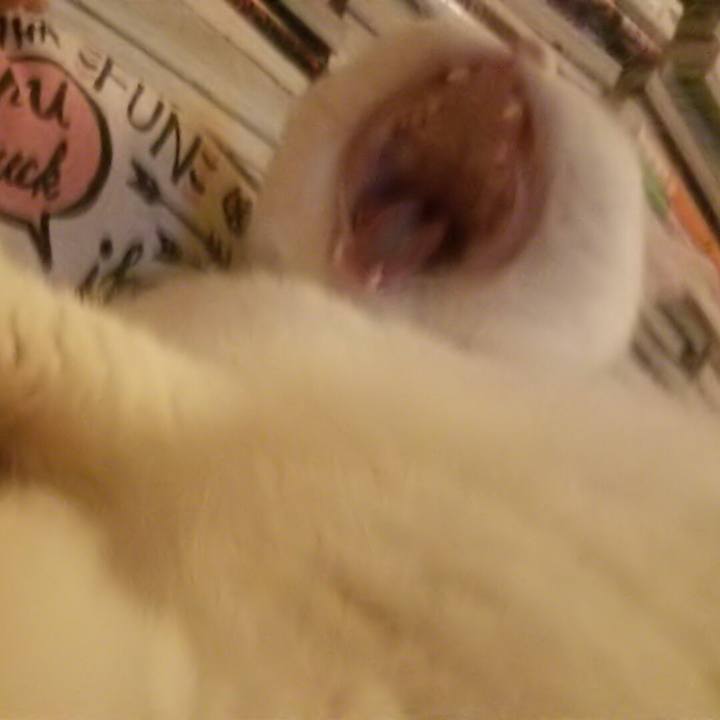 56051705 e20f 40ae 8006 9b883825b239