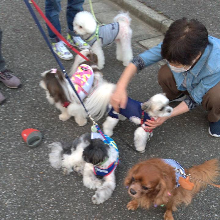 5605c3dd 05a1 40a3 a4a8 76f1ae75e4c1