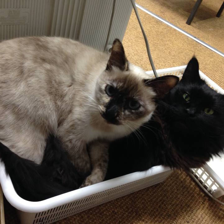 5606446d 2aa1 4dc2 bdec 844d0236cca1