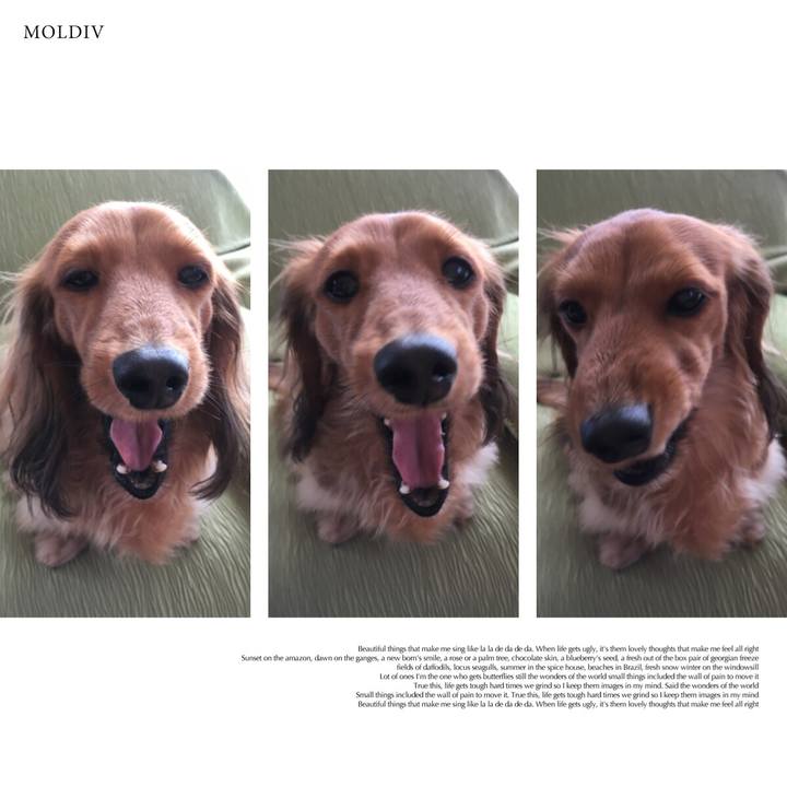 5606e69e 23dd 4e60 8a89 8563976cd42a