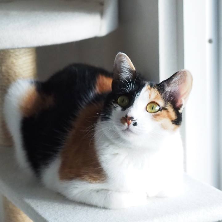 56072c7a dfd1 431a aa47 ef36dd5d623f