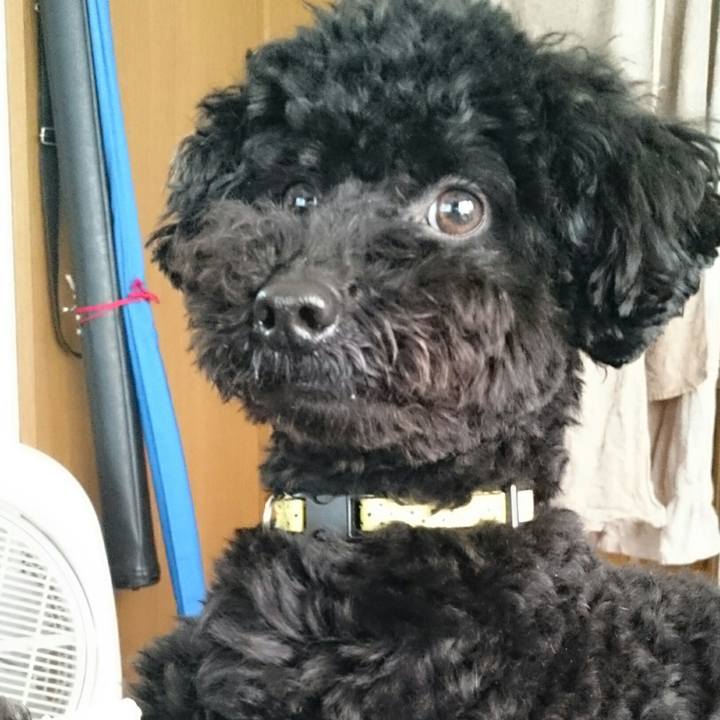 56078e9f 7091 49c2 a2d8 6cb4b52cf533