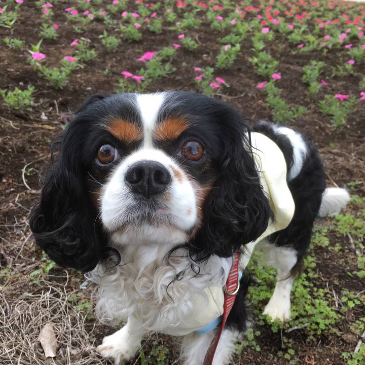 5607eb42 3361 4bbb bd21 9e1db86bf3a9