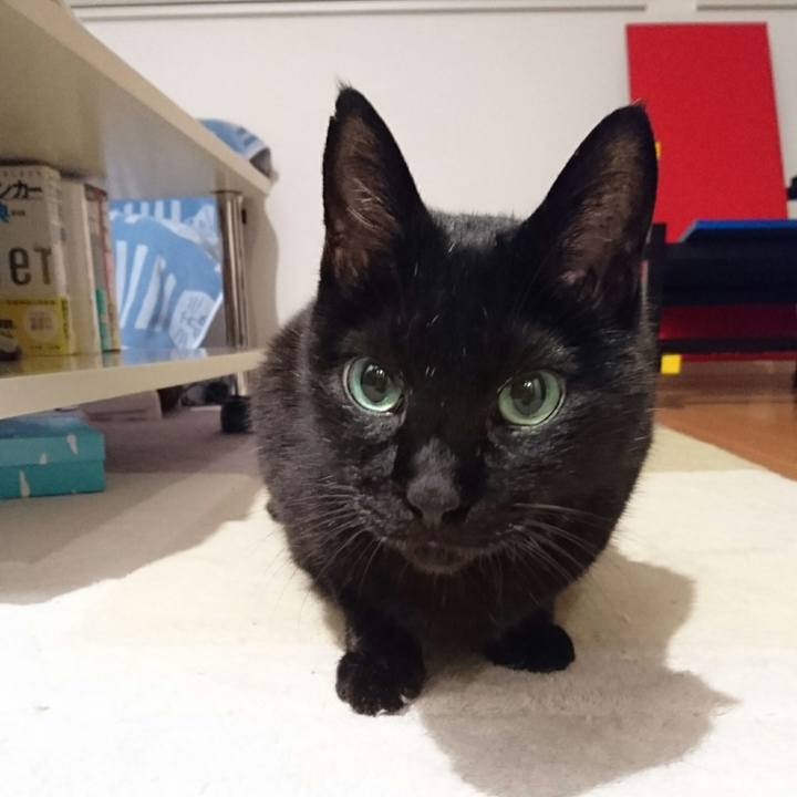 56082ad9 b169 488c ac9b f73bd161366d