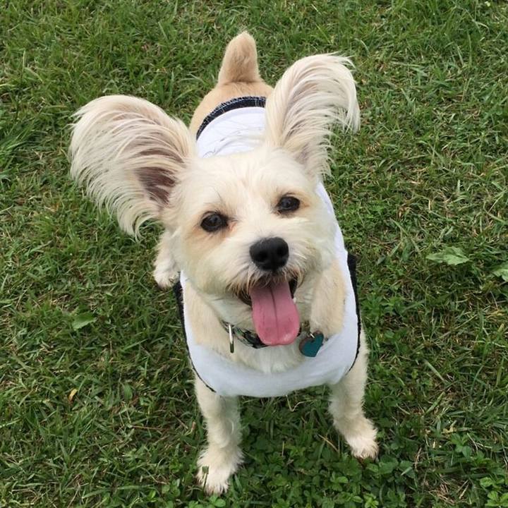 5608ec7a 3ed5 4ebe 959d 3824a61a5c56