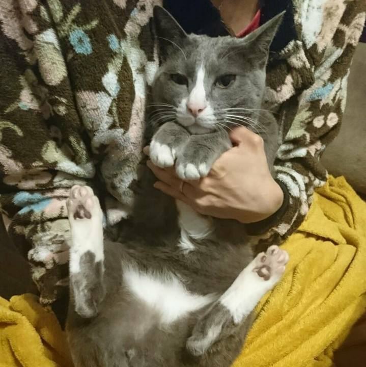 5608f02e 1b8d 4662 81a8 499f5be93d77