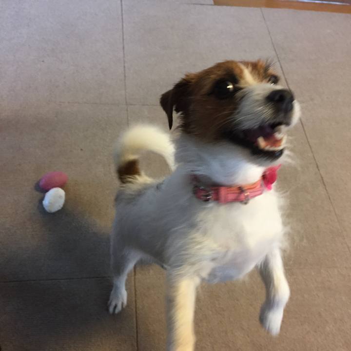 56091630 68f1 475a 9d42 7d8add908ce5