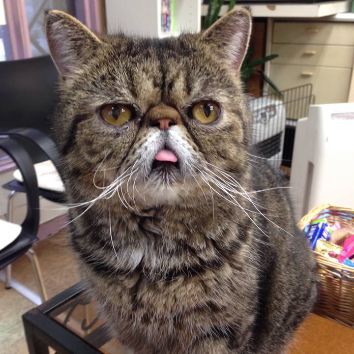 56093ec6 97db 4a67 9fda 0e04df6021c9