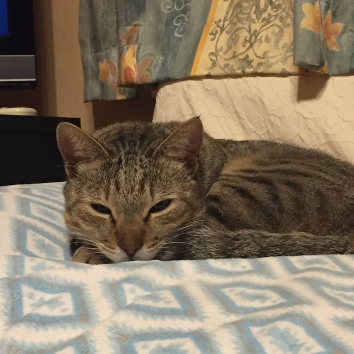 56097cb3 c815 4bd3 aea1 21708ab57fa3