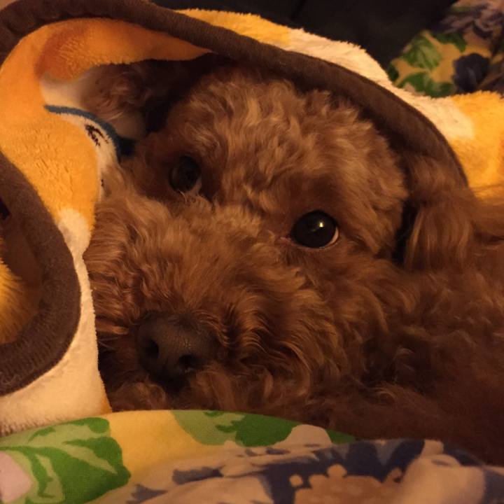 56097cd5 244b 4952 98ec e4782692e047