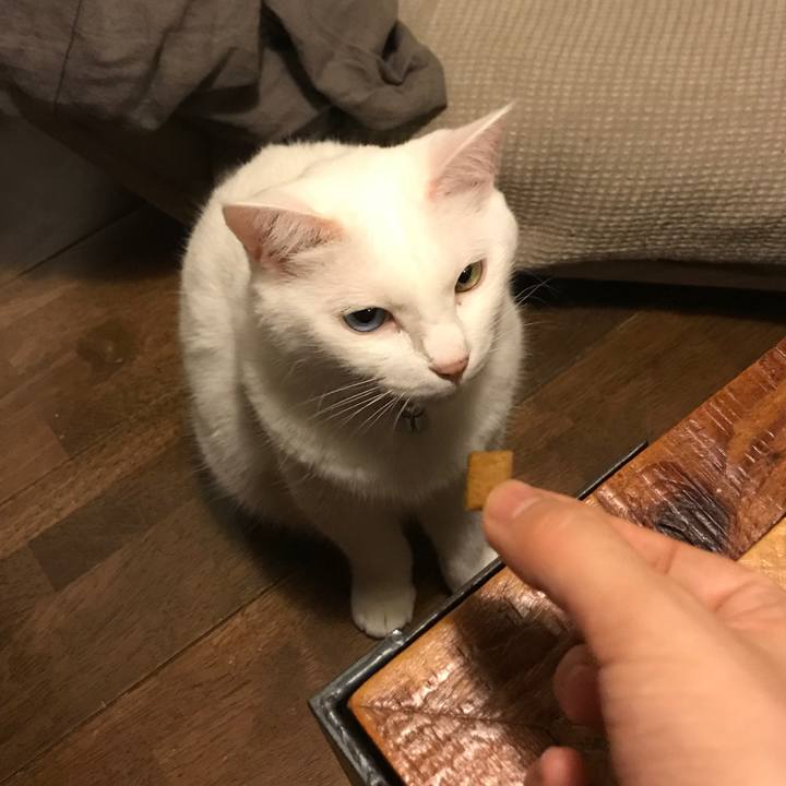 56098e7c ac47 4090 a2a8 91ebf982c2ef