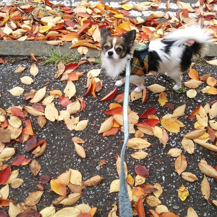 56099ed8 594e 4509 b4bb e0fbfddc990c