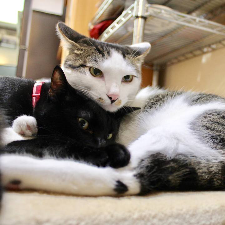 5609ad90 e252 4714 a39e 36efc0b9ae32