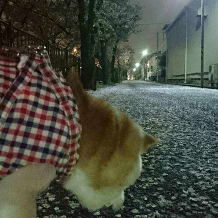 5609be59 4707 4957 bc76 f06816062853