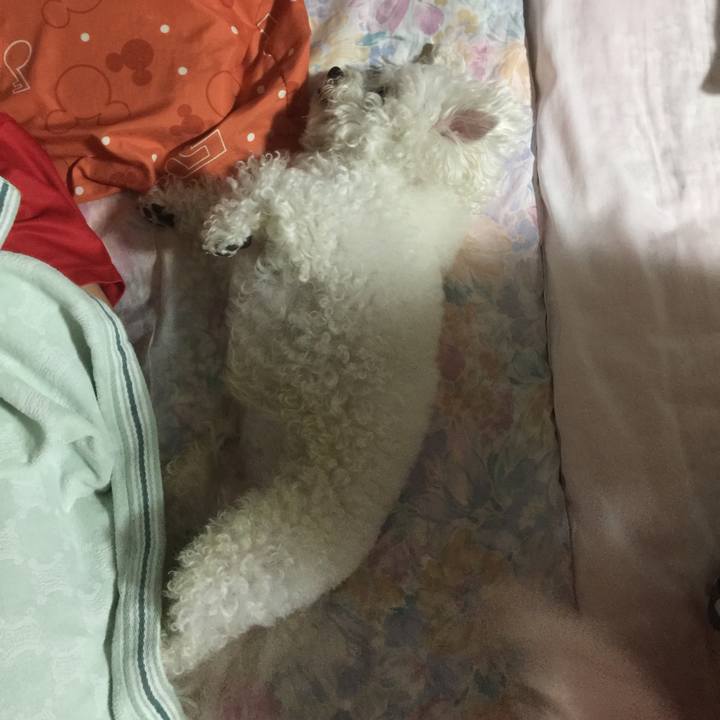 560a15d7 2092 4015 8ec2 e7bf32ac1aac