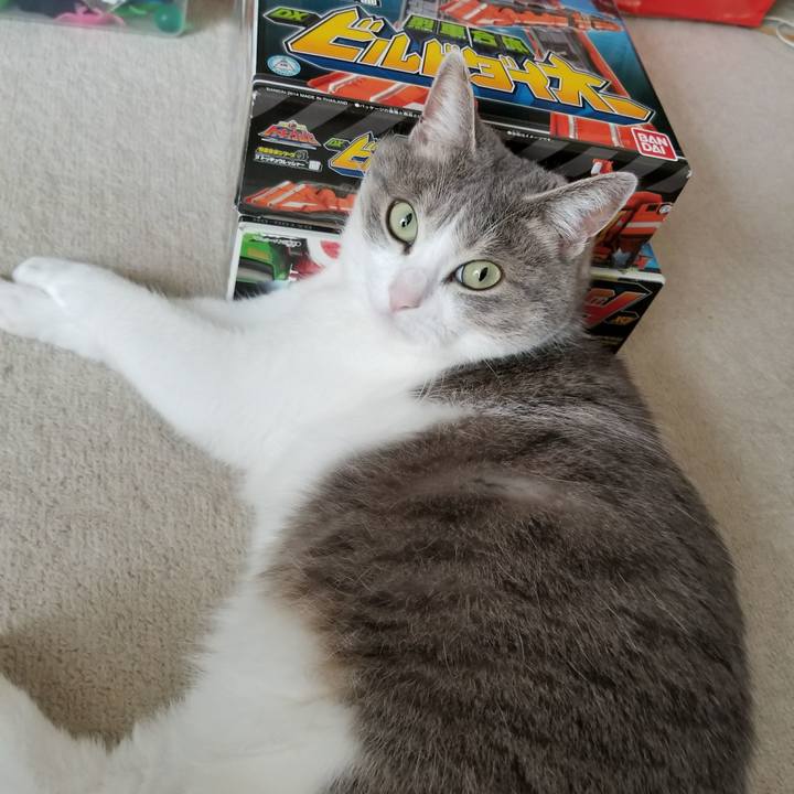 560adb2c 1274 40f4 b72e feb22d918e28