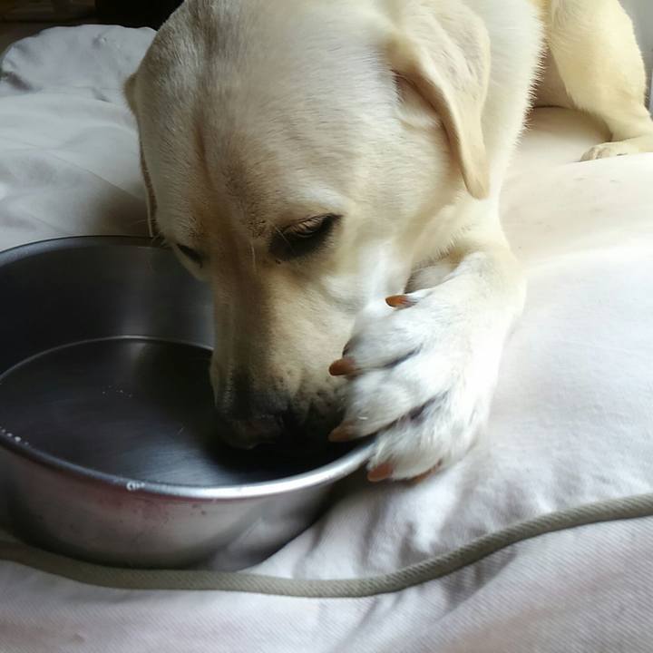 560afc29 2495 47a2 a7ed e2f6cf11e639