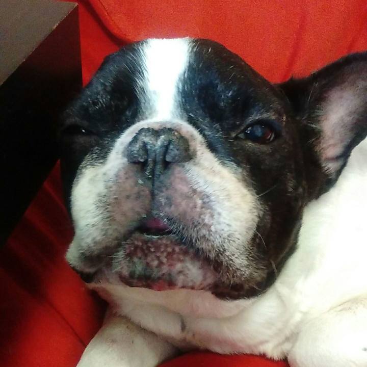 560bda8a a307 4427 9553 b810e73a286b