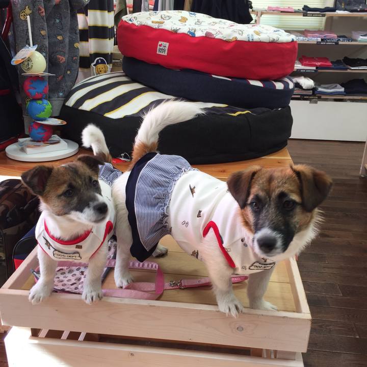 560d2bdf b967 432a 8bfd faad267c806d