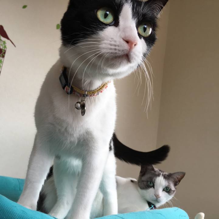 560d55b4 3696 4454 87e8 2f8a5093b2d7