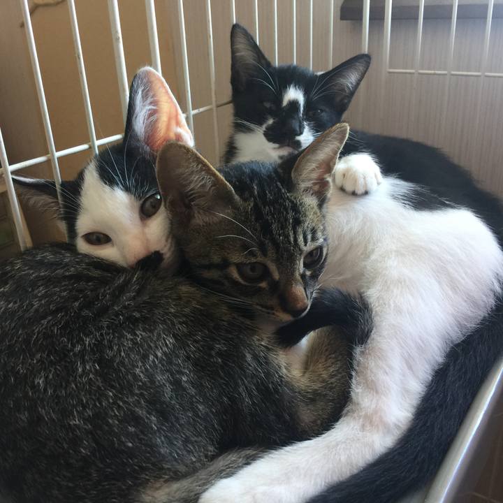 560d5609 f89d 4944 aaf6 52486a62d13d